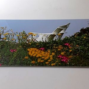 Garden Art on metal